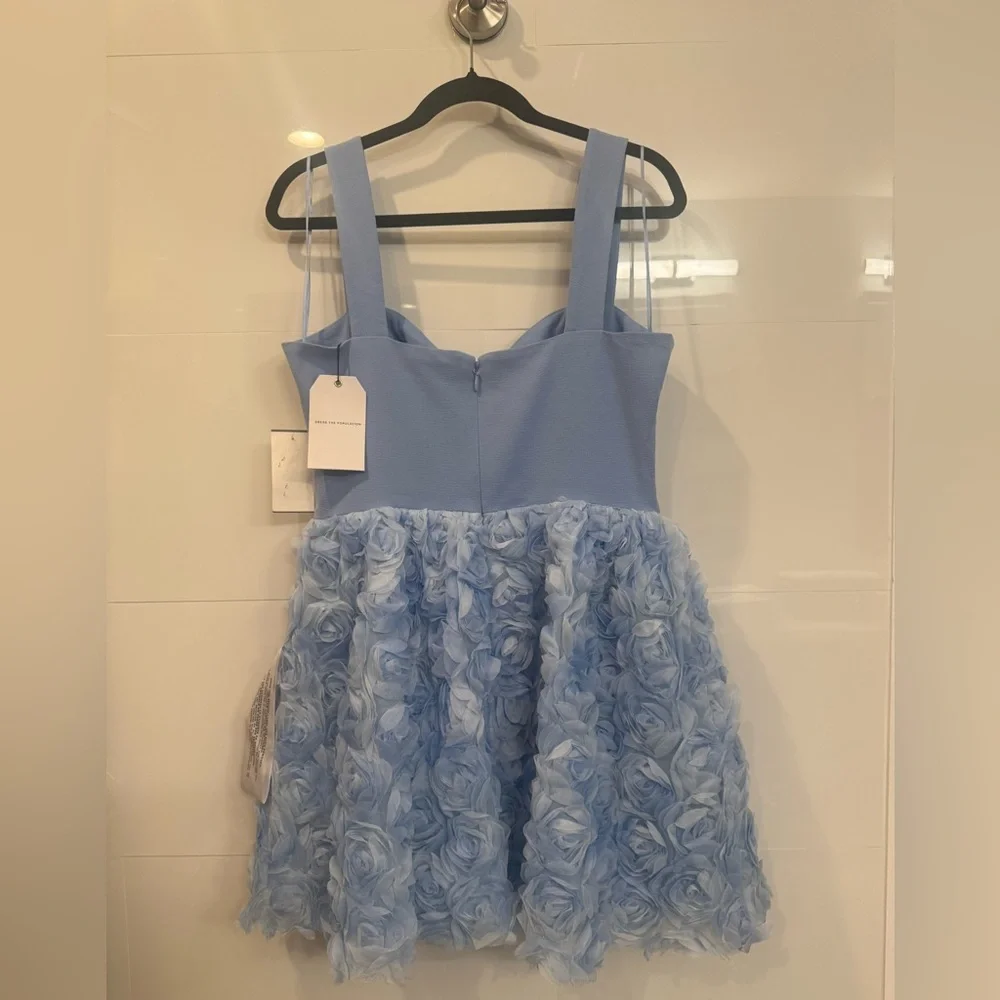 Dress the Population this dress